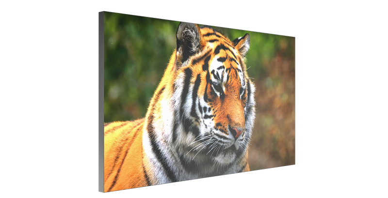 Brightlink’s 130" 2x2 4k Video wall Package - c/w 4ea 65” 4K 60hz Ultra Thin 1.75mm Bezel per side / 3.5mm total Video Wall Displays & 1ea 2x2 Video Wall Controller and HDMI / Cat6 out with POE Receivers & Wall Mounting Bracket