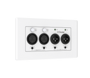 Brightlink BL-WPXLR22-EU — 2x2ch XLR to Dante® Converter (EU/UK 2-Gang Wall Plate)